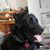 Peggy Epstein's profile image