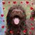 Laura Beavers's profile image
