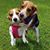 Kelley Onderdonk's profile image