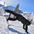 Yohsuke Kimura's profile image