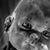 Jamie Bushong's profile image