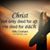 Cyndi Knight's profile image