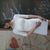 Mercedes Marie Harris's profile image
