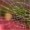 Barbara Kessman's profile image