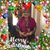 Trisha Volz's profile image