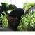 Kebin McAllister Watts's profile image