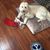 Buddy Midgett's profile image