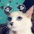 Chochi Guzman's profile image