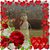 Kathy Clinton's profile image