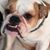 Bruce Landry's profile image