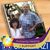 Athena George Prassos Penson's profile image