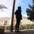 Sammi DG-nzr's profile image