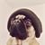 Cruz BBeto's profile image