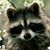 Jake Poradek's profile image