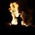 Greg Stoutenburgh's profile image