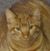 Patti Riley's profile image