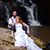 Toni Gargiulo Schafer's profile image