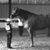 Kristin Pankow's profile image