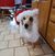Andrea Rositano Smith's profile image