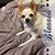 Stephanie Brooks's profile image
