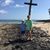 Ashlee Harrison Vaught's profile image