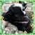 Colsch Farms's profile image