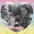 Nadia Saenz's profile image