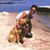 Carey Trott-Croatt's profile image