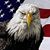 Steven J. Slusarz's profile image