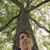 Amy Schwier's profile image