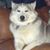 Sandy Heick's profile image