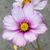 Pam Beattie's profile image