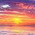 Sandra Duerst's profile image