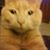 Thomas Tarnowski's profile image