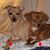 Angie Wieland Allen's profile image