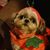Gail Prioleau's profile image