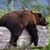 Terry Bennett's profile image