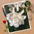 Ana Laura Alardin Berumen's profile image