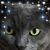Cindy Nelson's profile image