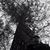Robert Wood's profile image