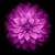 Theresa TC Miller's profile image