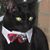 Brenda J. Hill's profile image