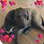 Linda Levine's profile image