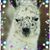 Ginger Burns's profile image