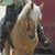 Patricia Watson's profile image