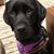 Dawn Rudolph's profile image