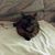 Janice Lecklider's profile image