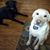 Becky Rasmussen's profile image