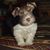 Charla Johnson's profile image