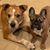 Tammy Rosenthal's profile image